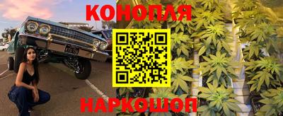 винт Новозыбков