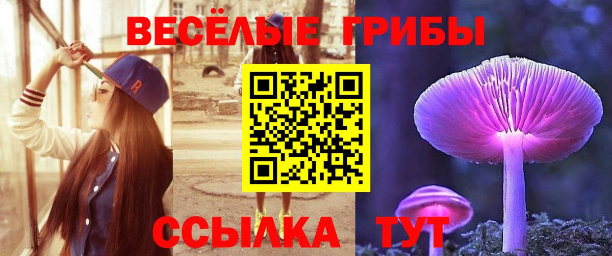 Троицк  Галлюциногенные грибы мухоморы  Галлюциногенные грибы Magic Shrooms  купить   Вход с VPN 